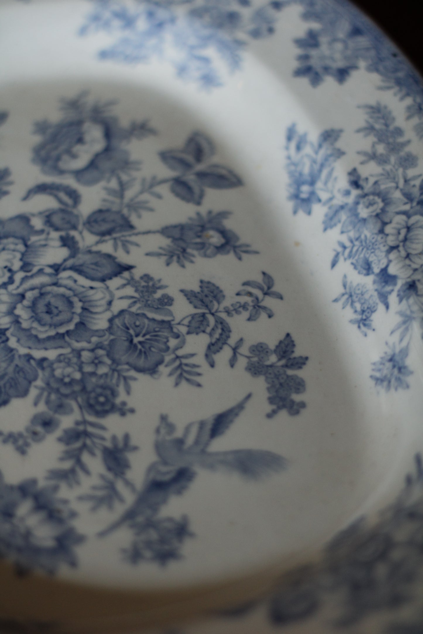 Antique “Barkers and Kent” Asiatic Pheasant Platter