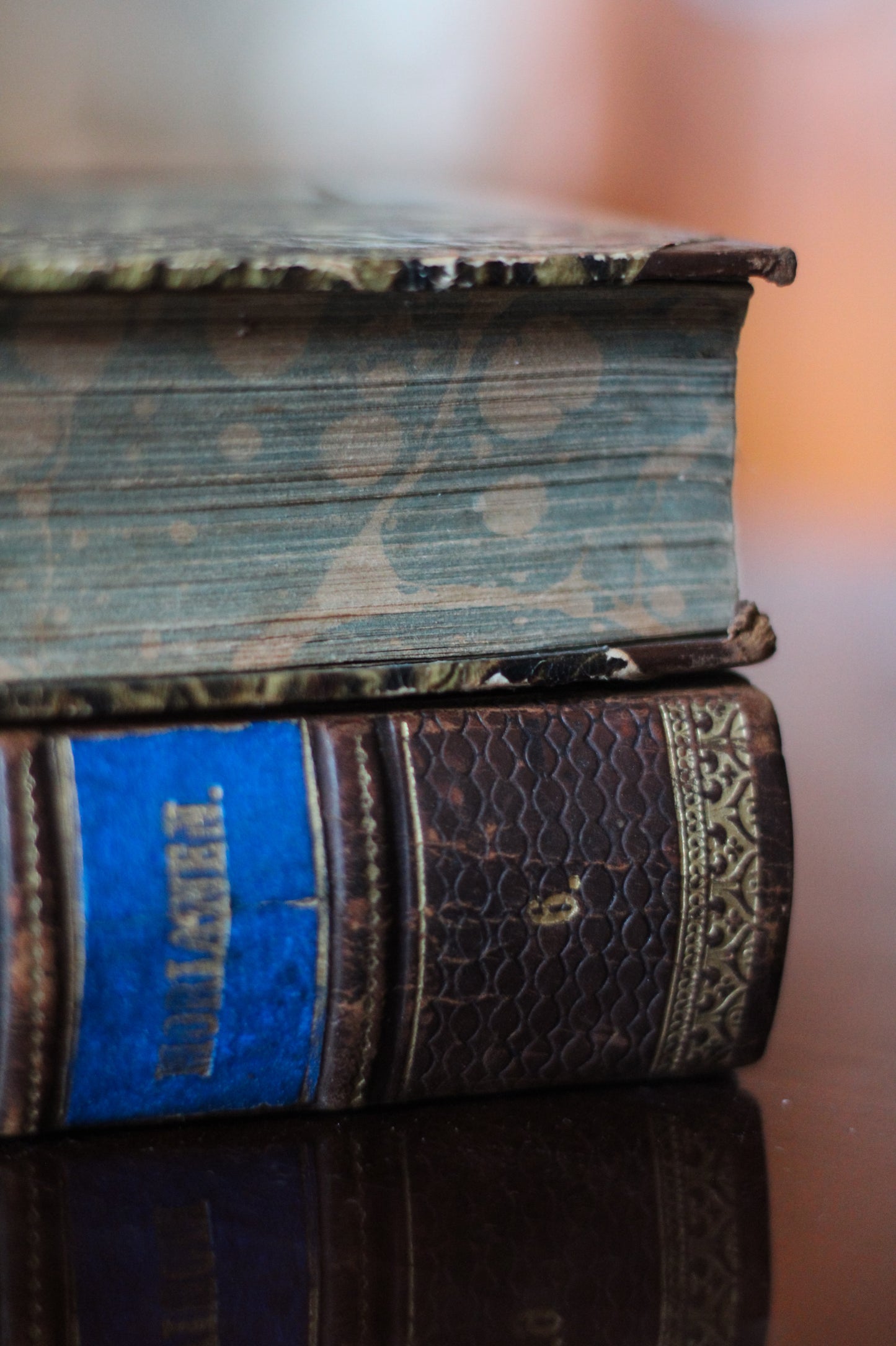 Antique Swedish Books Set