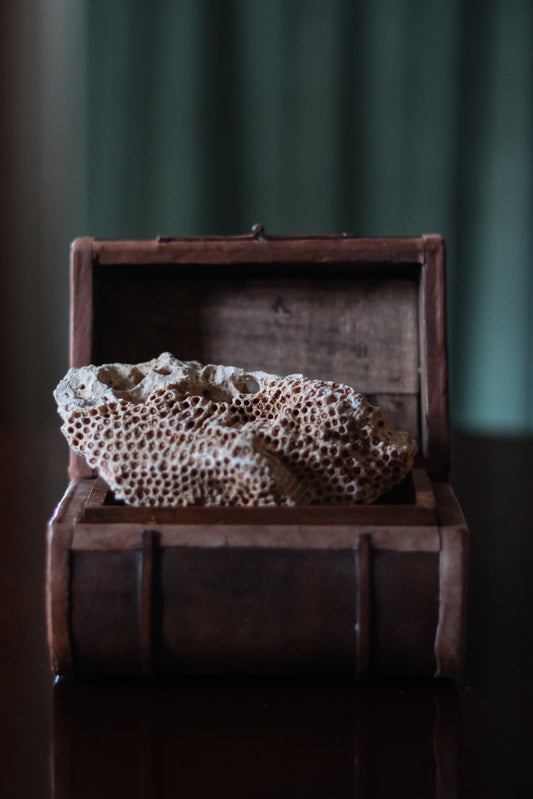 Mini Leather Storage Trunk