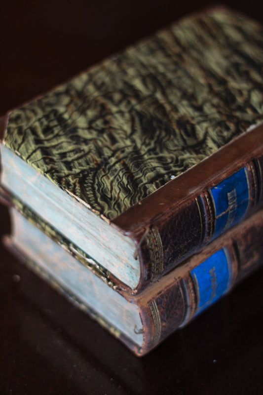 Antique Swedish Books Set