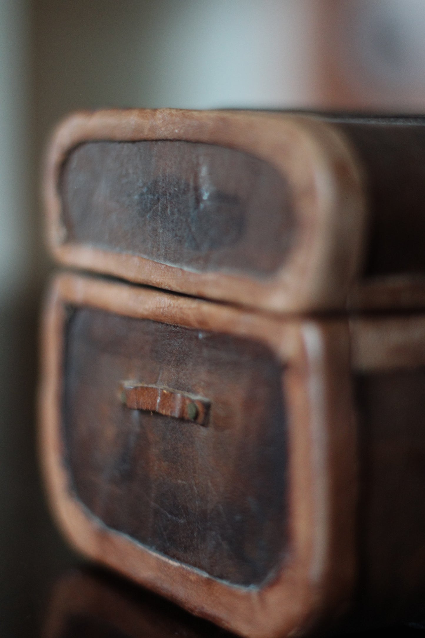 Mini Leather Storage Trunk