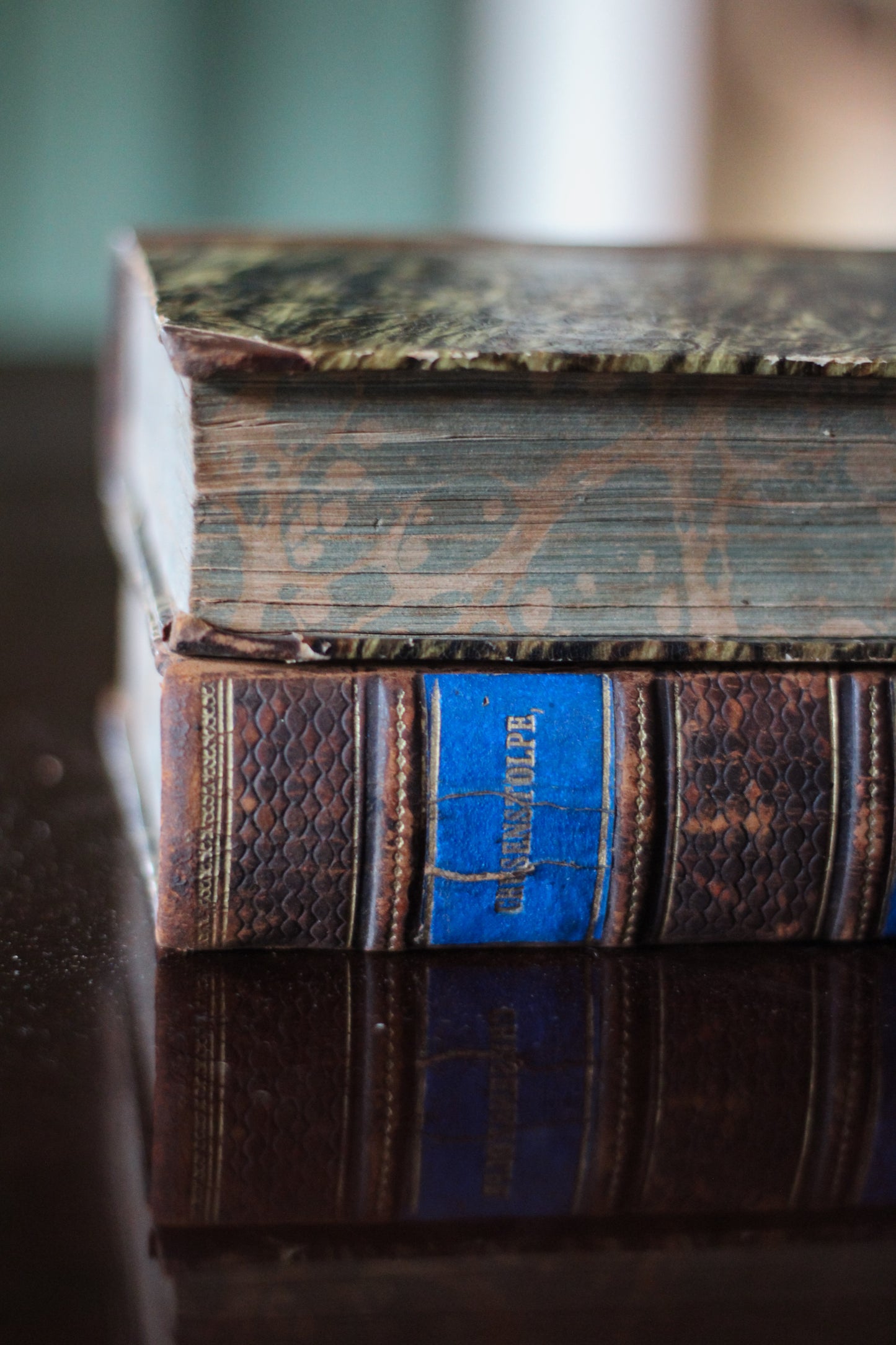 Antique Swedish Books Set