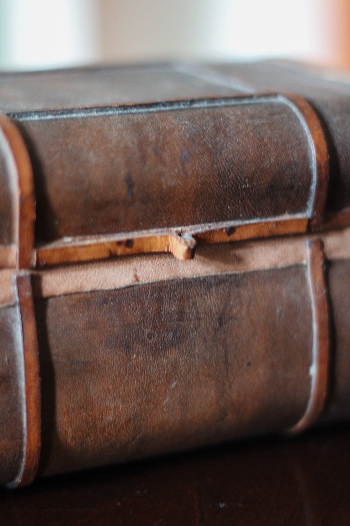 Mini Leather Storage Trunk